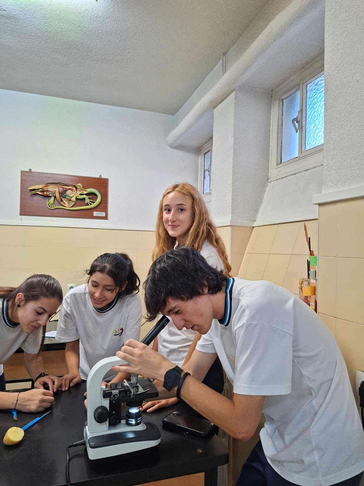 Bio microscopio optico 1