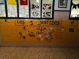 Los 5 sentidos