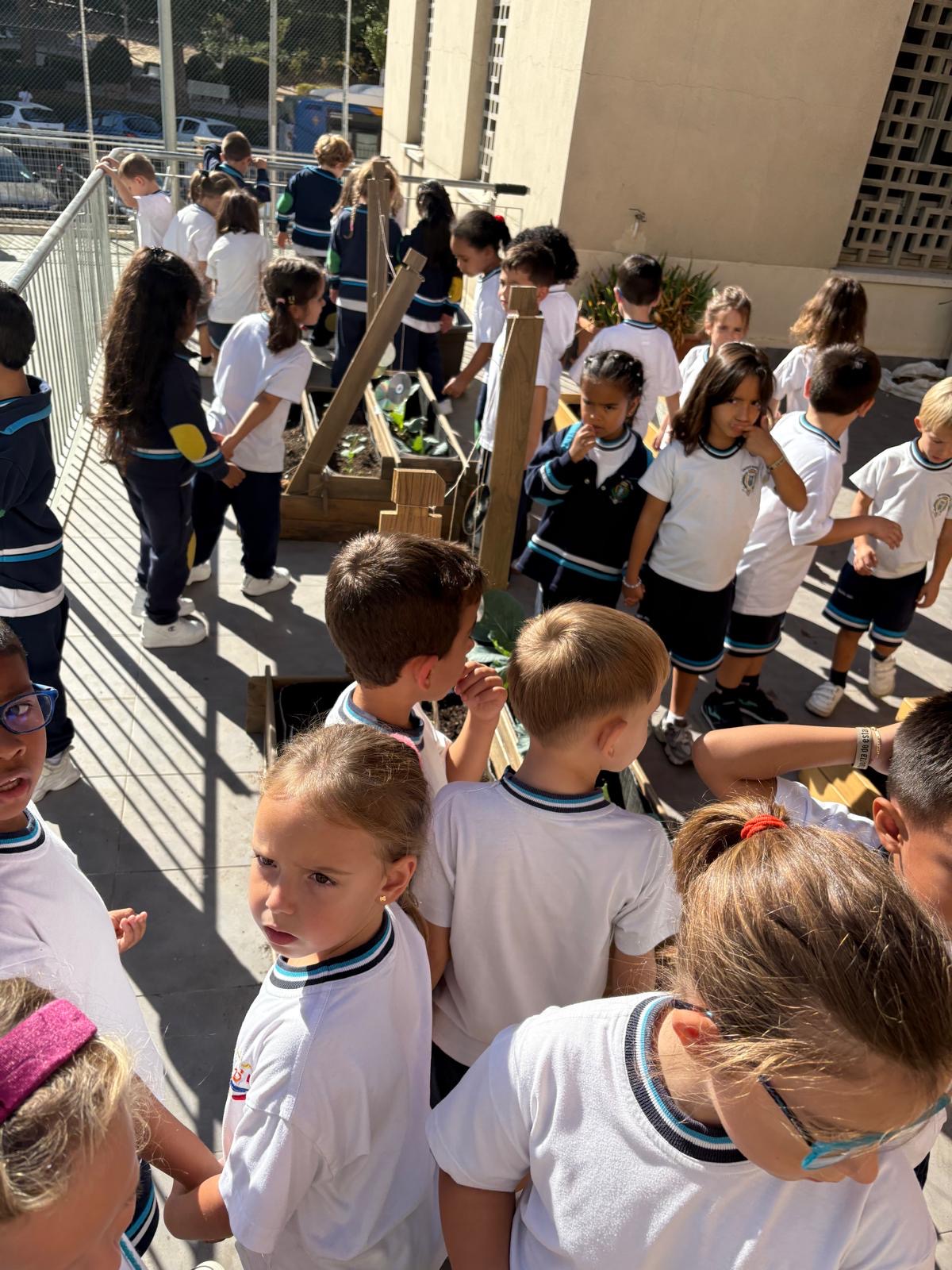 Visita al cole octubre 2025 1