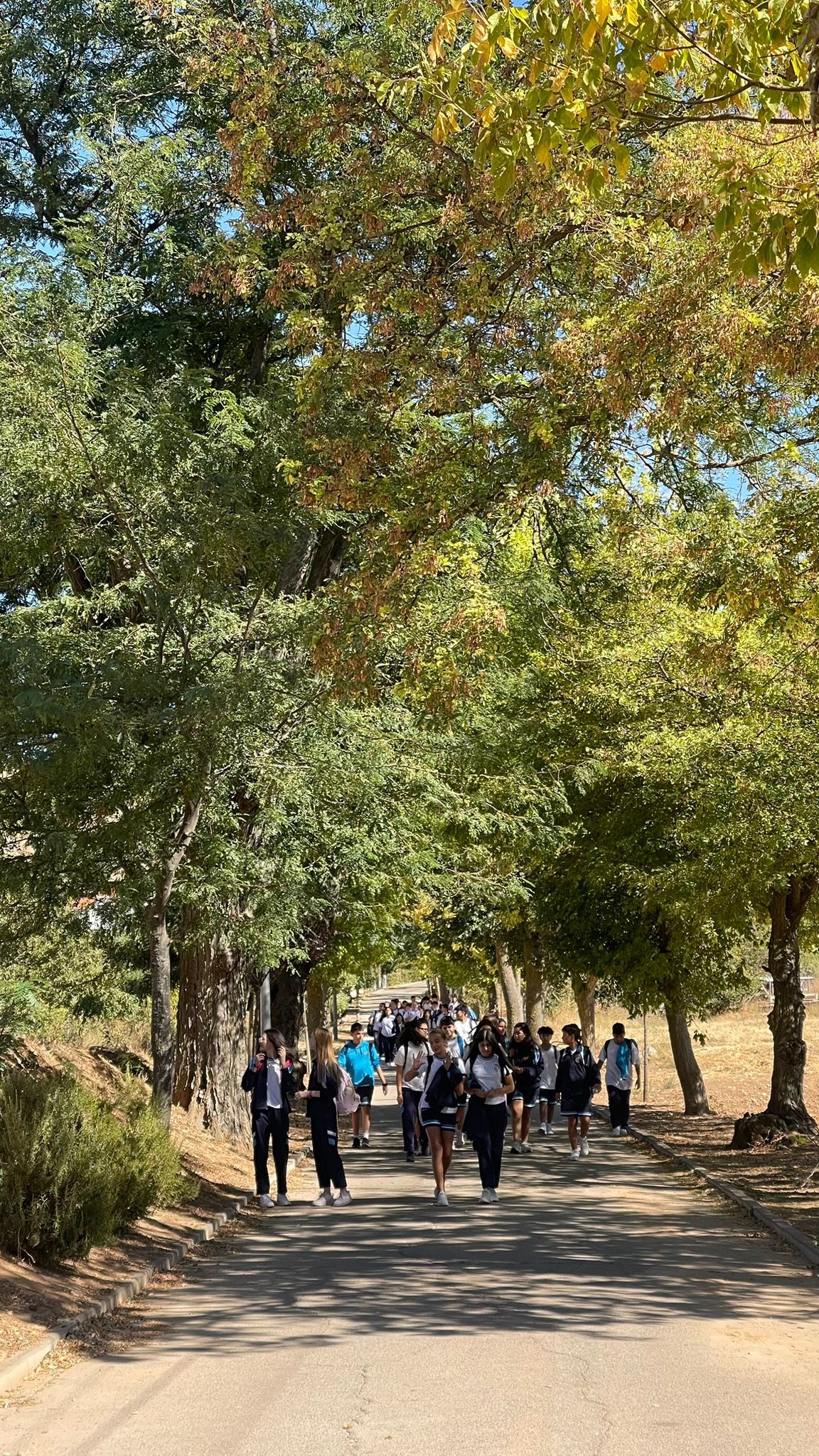 Convivencias S2 2 0 25 3