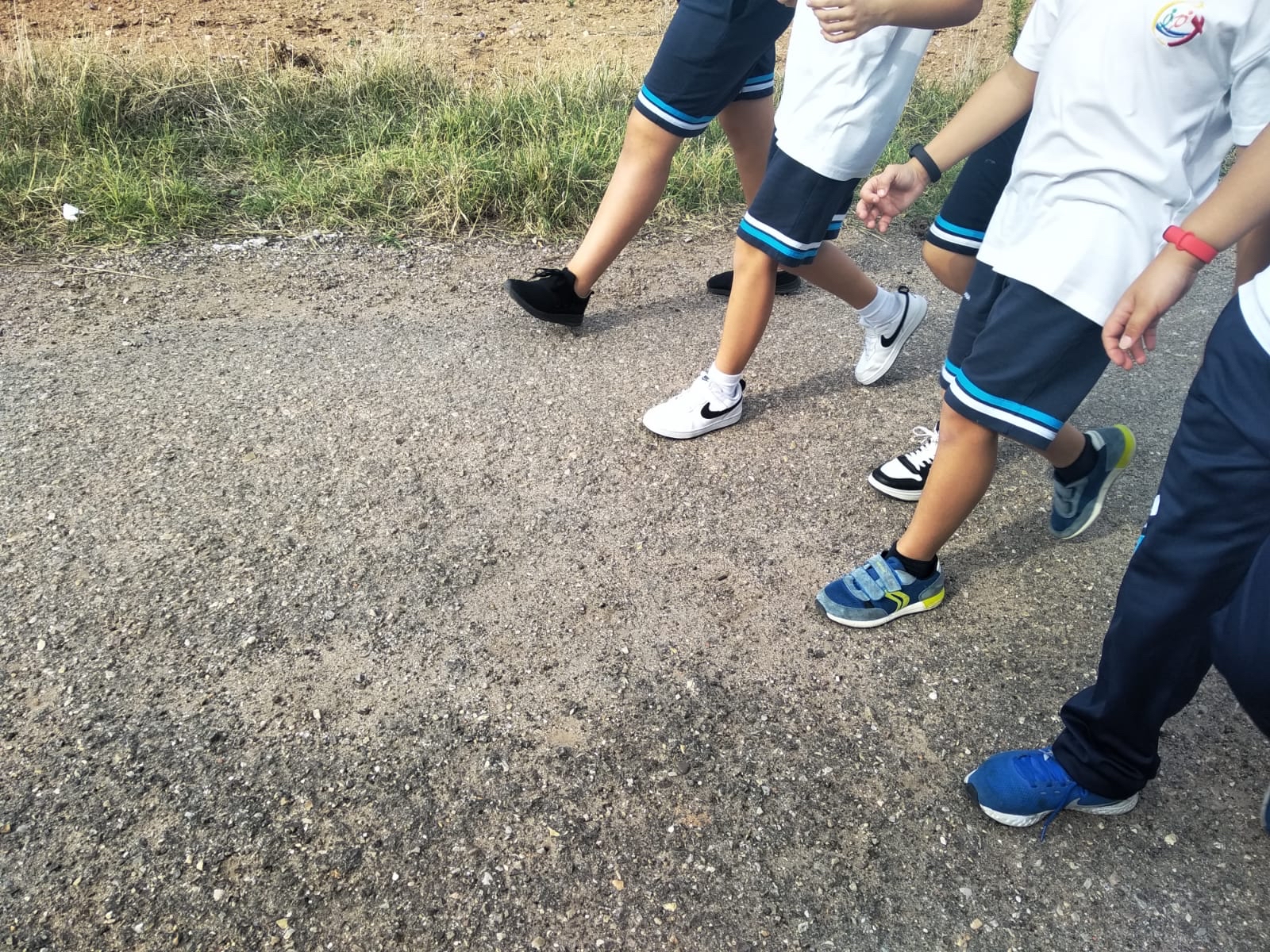 imagen 20211025 100540 b9f48727