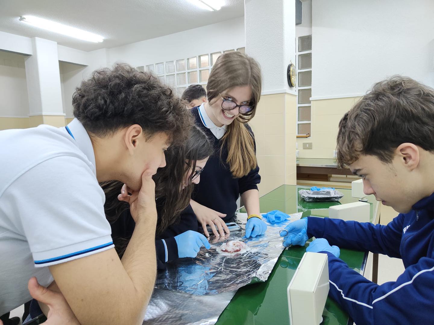 Laboratorio nefronas 1