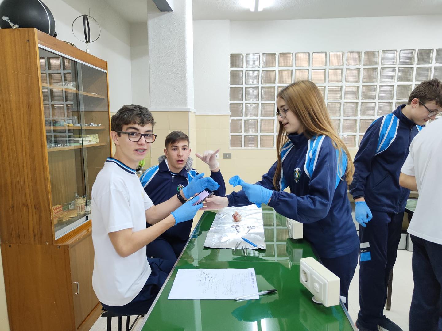 Laboratorio nefronas 2