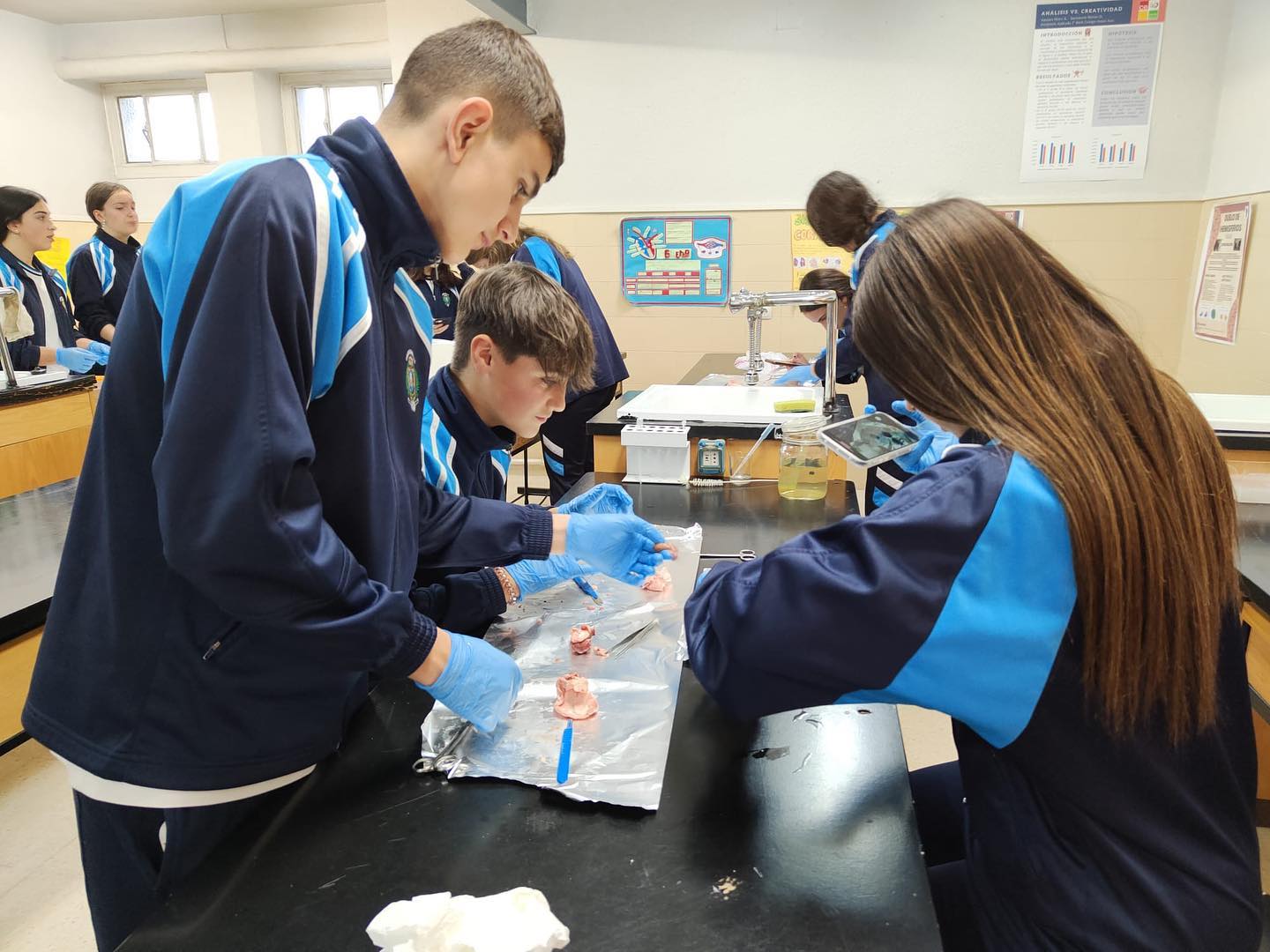 Laboratorio nefronas 3