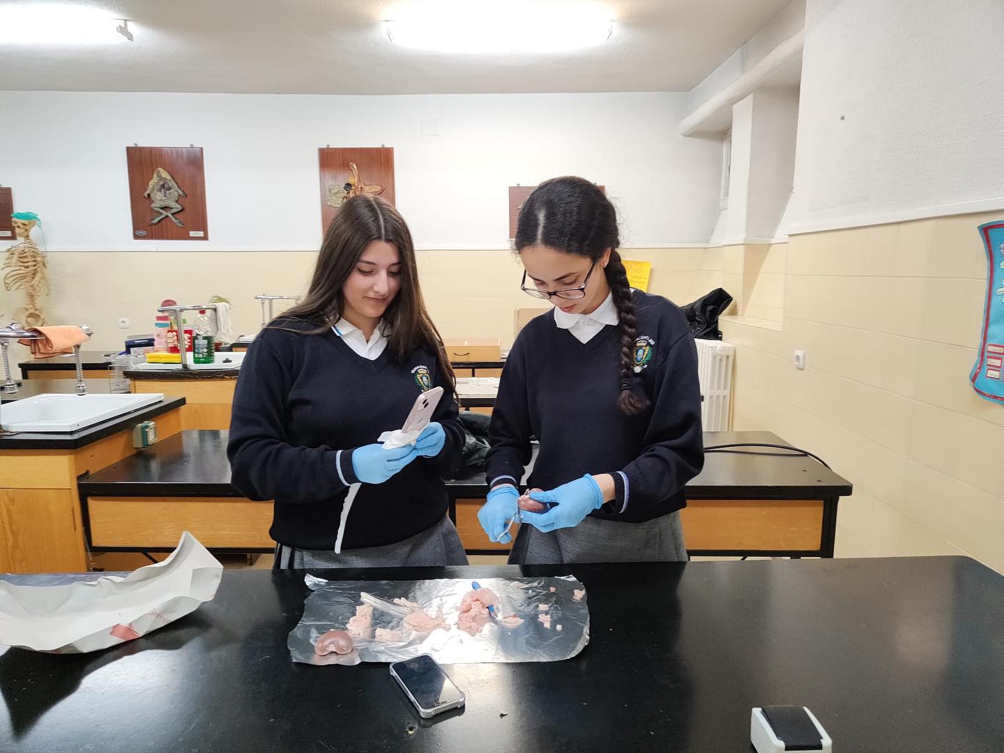 Laboratorio nefronas 5