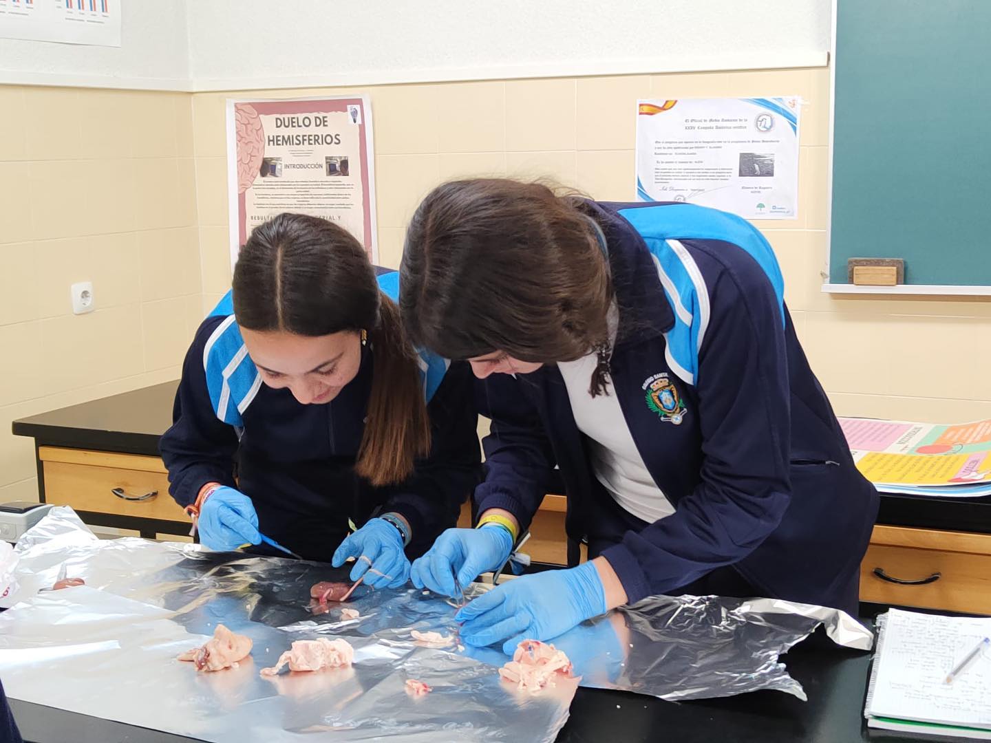 Laboratorio nefronas 7