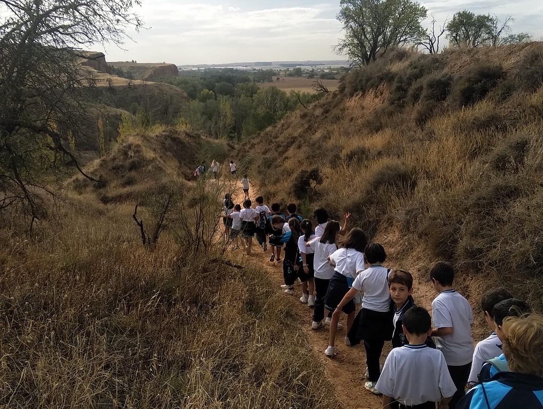 imagen 20221110 103227 7e9c79ce