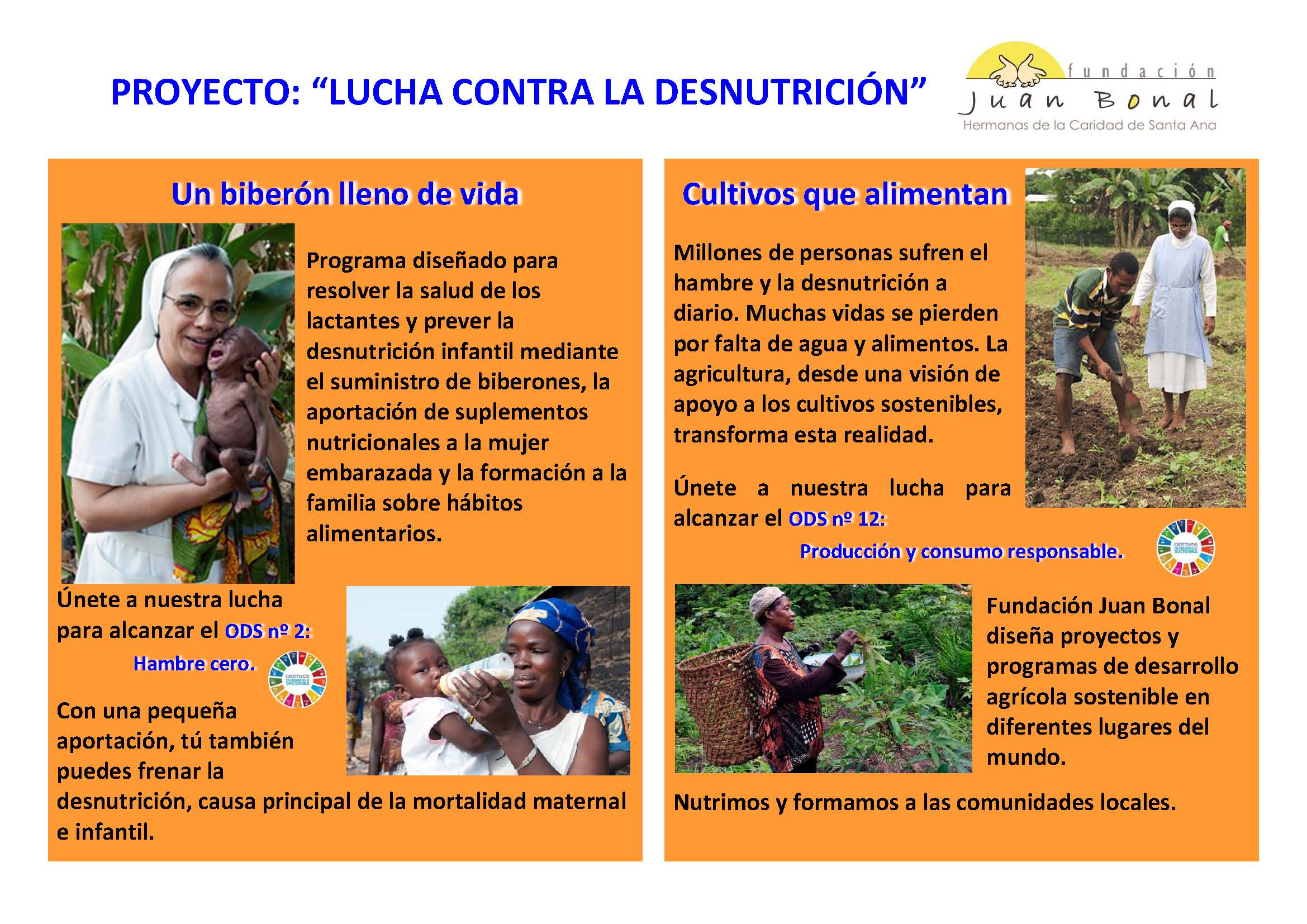 LUCHA CONTRA LA DESNUTRICIN Cartel