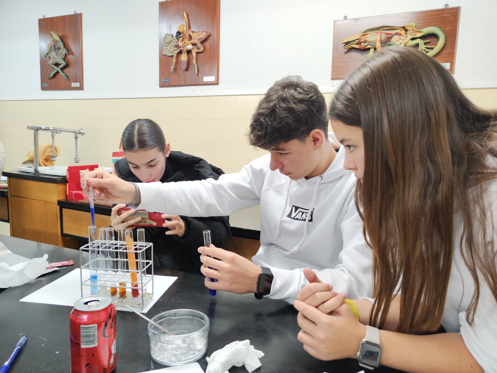 82dd90ca 40fa 4348 b584 ad406a04620e