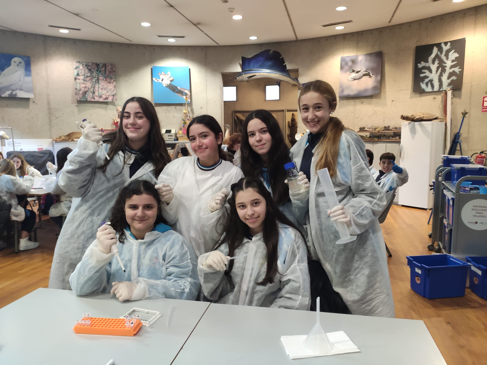 WhatsApp Image 2024 01 24 at 102339