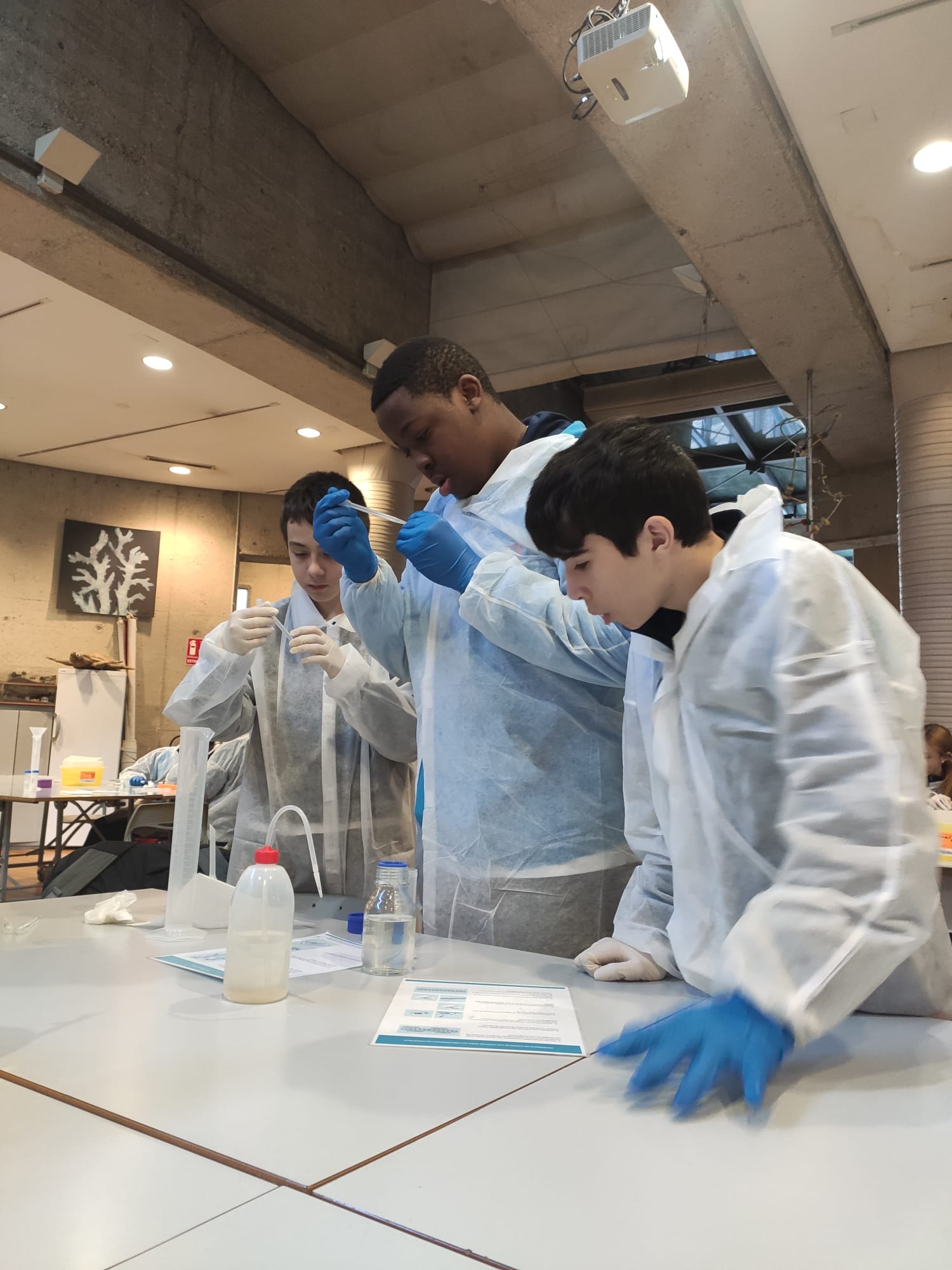 WhatsApp Image 2024 01 24 at 102340 2