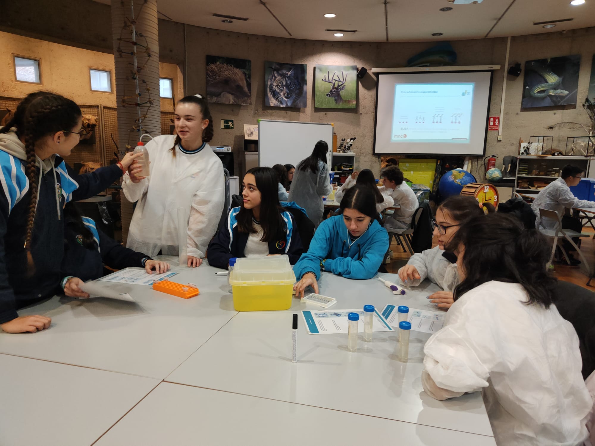 WhatsApp Image 2024 01 24 at 102355