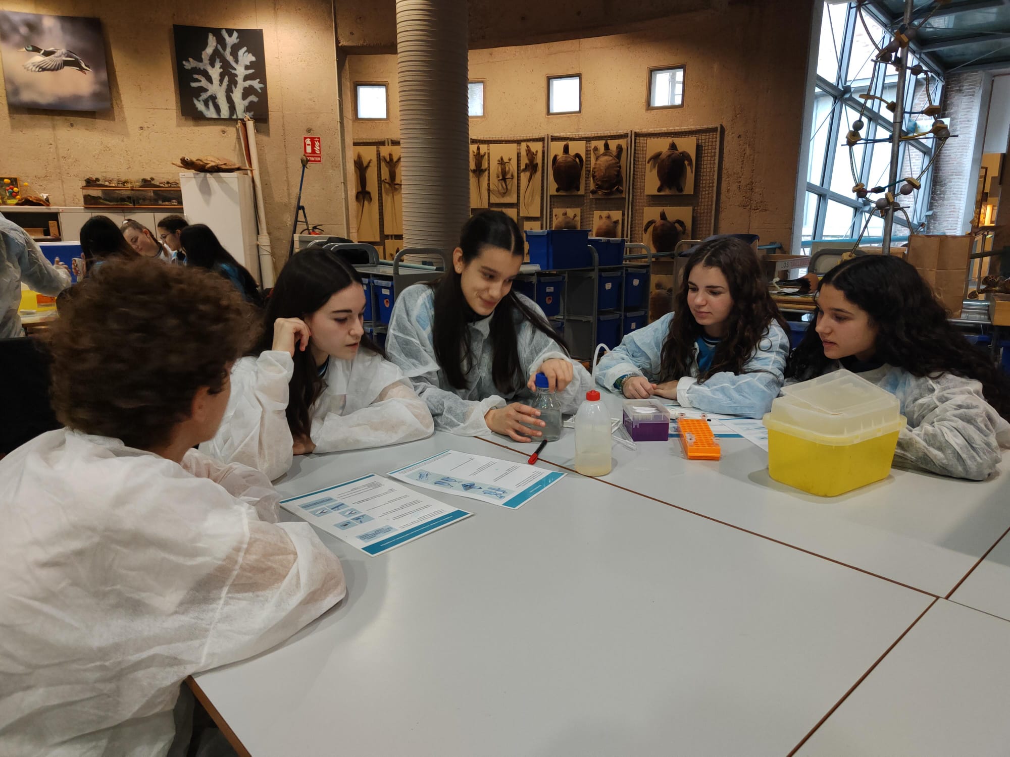 WhatsApp Image 2024 01 24 at 102355 1