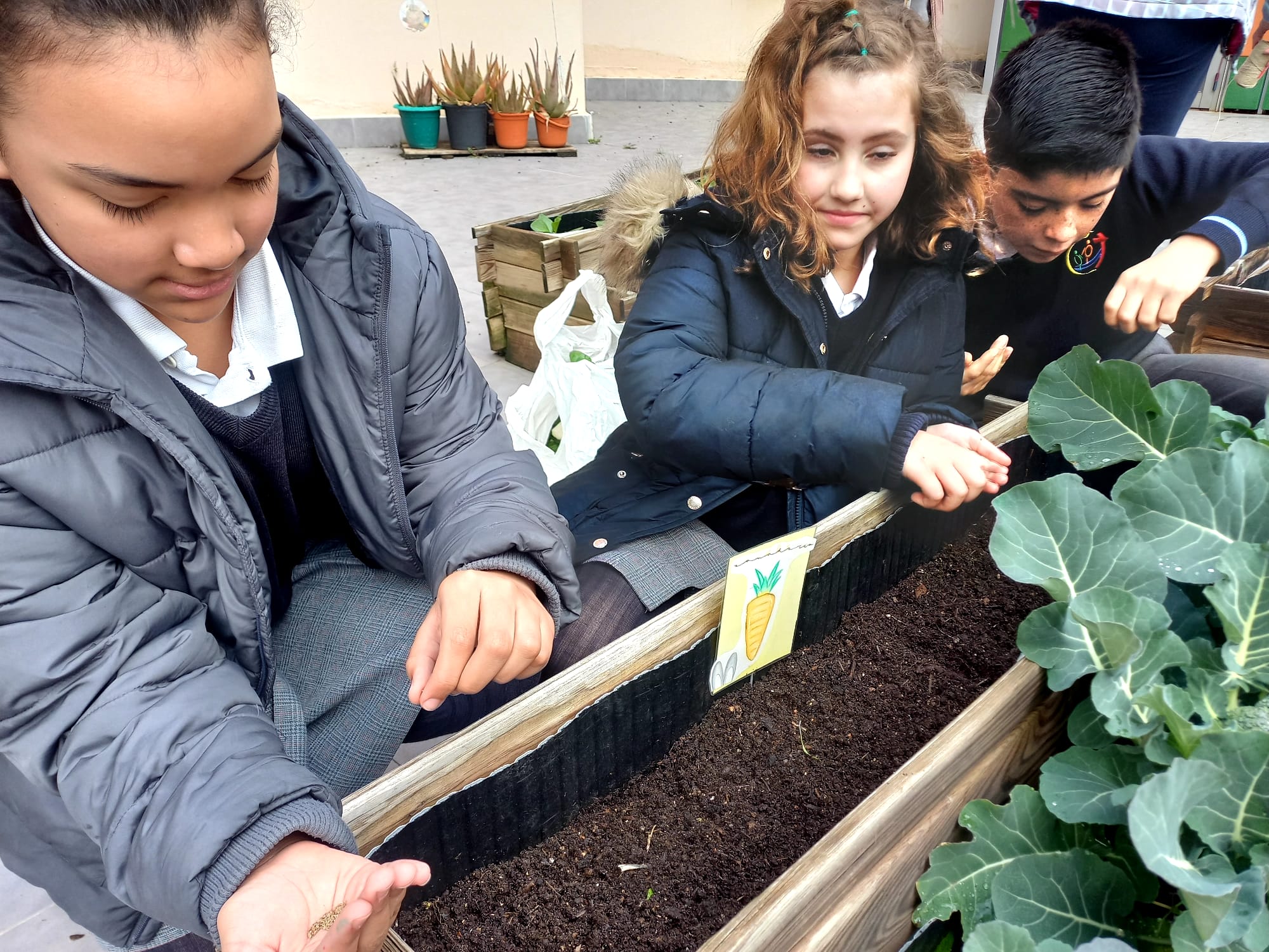 Frutos Huerto 1 12 02 25