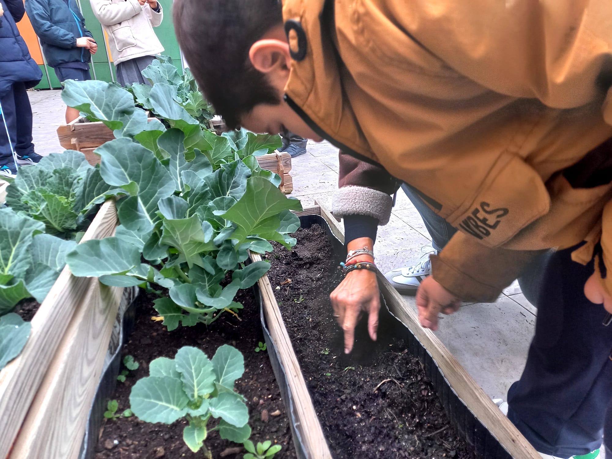 Frutos Huerto 3 12 02 25 3