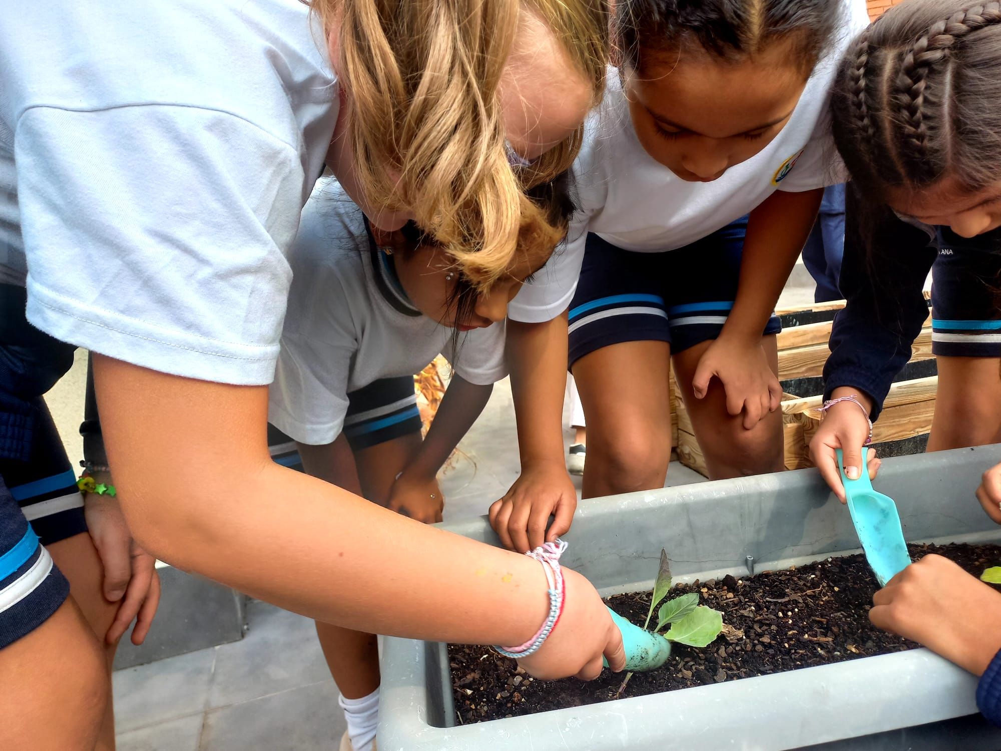 Frutos Huerto 7 12 02 25