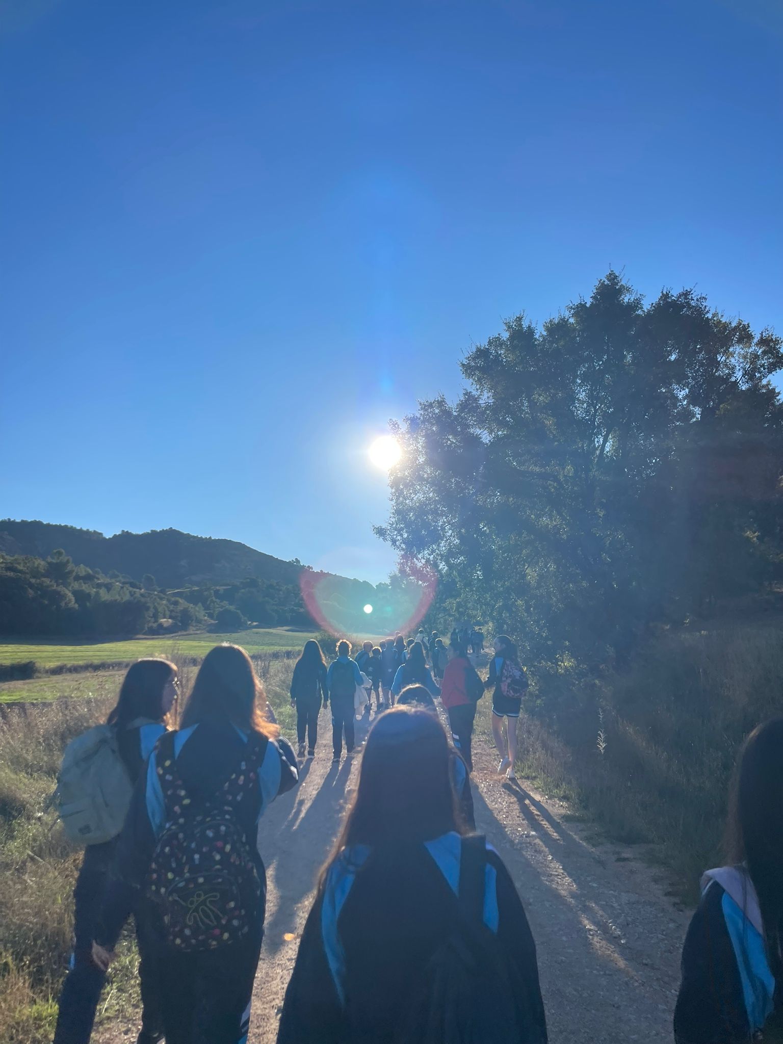 original 1076D9EA 4CAE 4C80 B297 604196885109