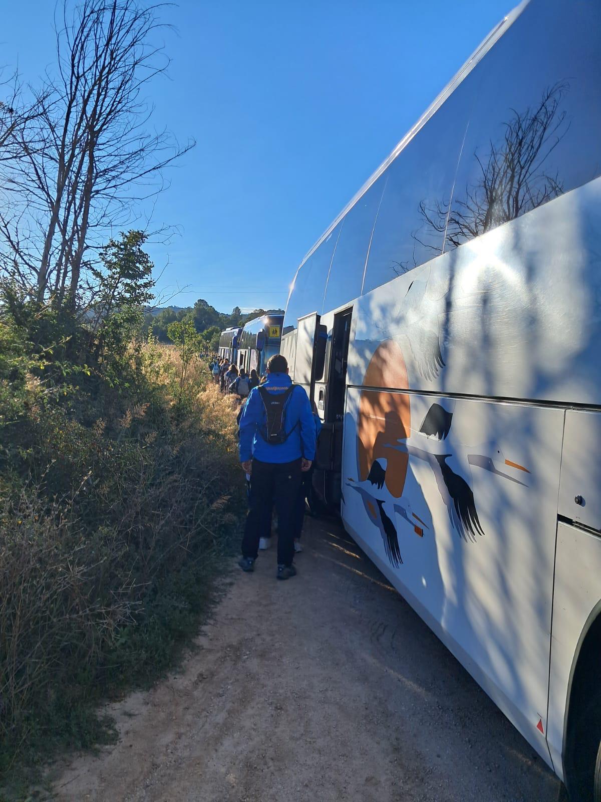 original 3461E9BB C681 46C3 8C79 B541AA73788A