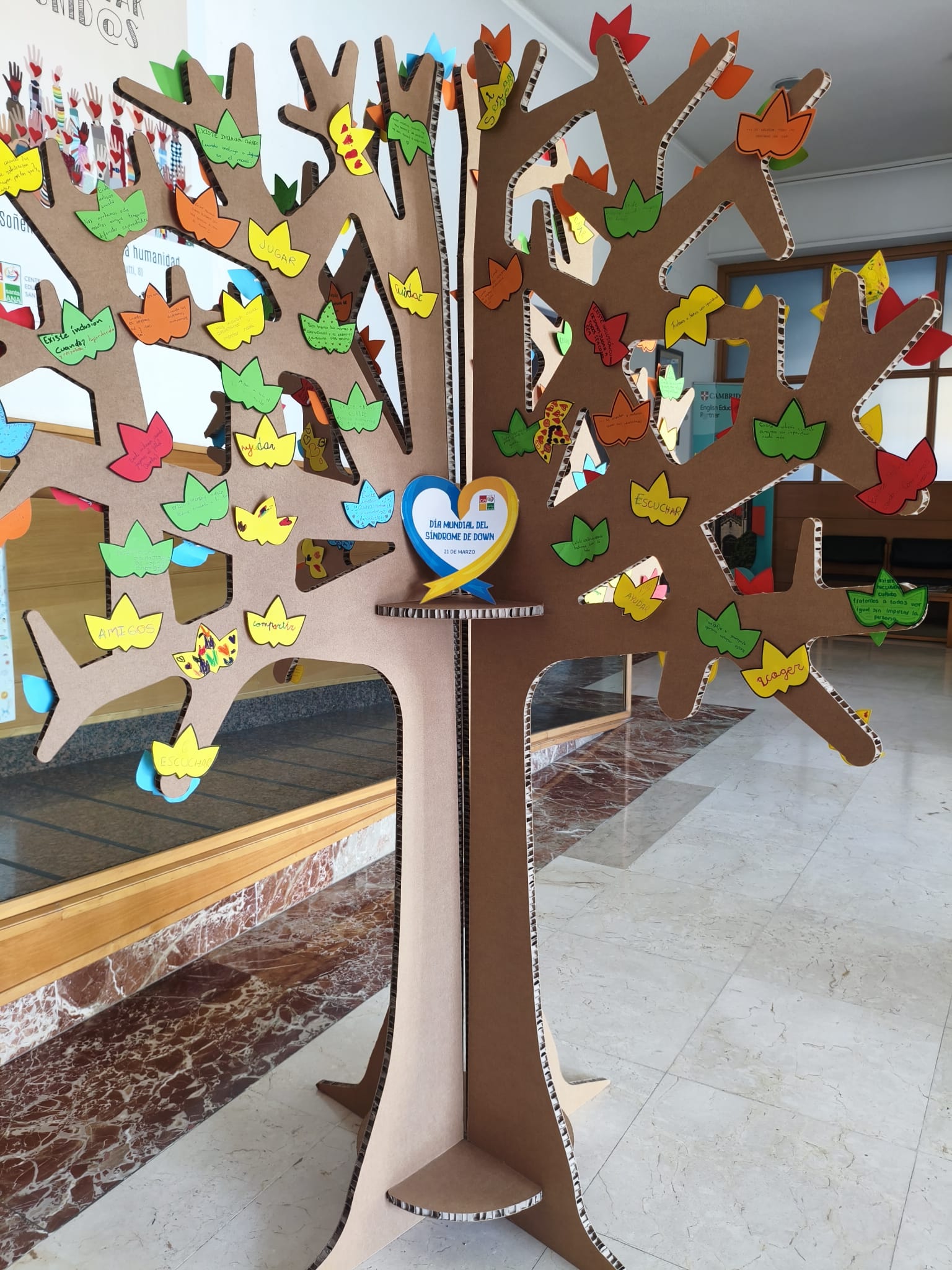 WhatsApp Image 2026 03 23 at 135330