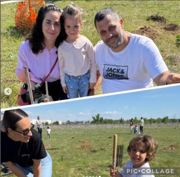 Plantando rboles 6