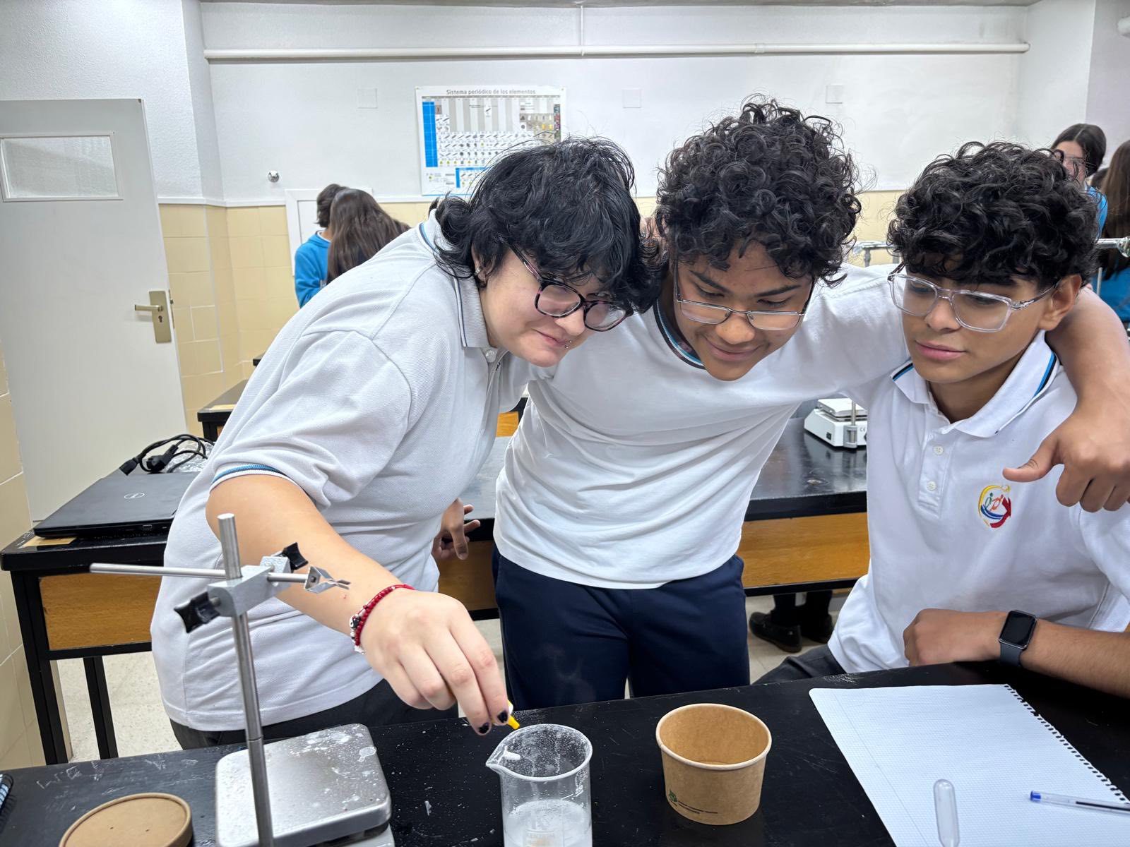 Disol fosfato mono 4